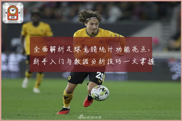 全面解析足球竞猜统计功能亮点，新手入门与数据分析技巧一文掌握