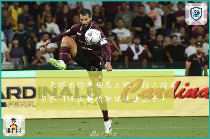 「足球竞猜单场怎么玩？新人指南与热门玩法解析助你快速上手」