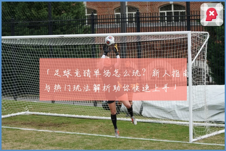 「足球竞猜单场怎么玩?新人指南与热门玩法解析助你快速上手」
