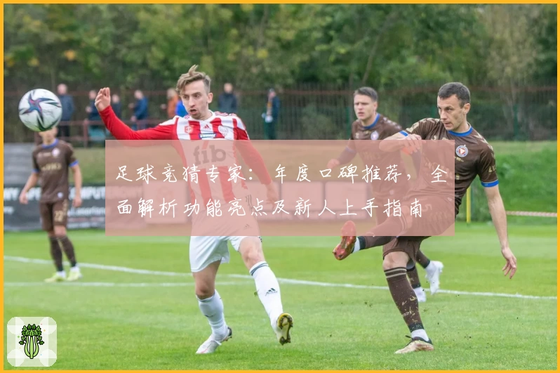 足球竞猜专家：年度口碑推荐，全面解析功能亮点及新人上手指南